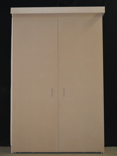 placard-dressing portes coplanaires personnalisable